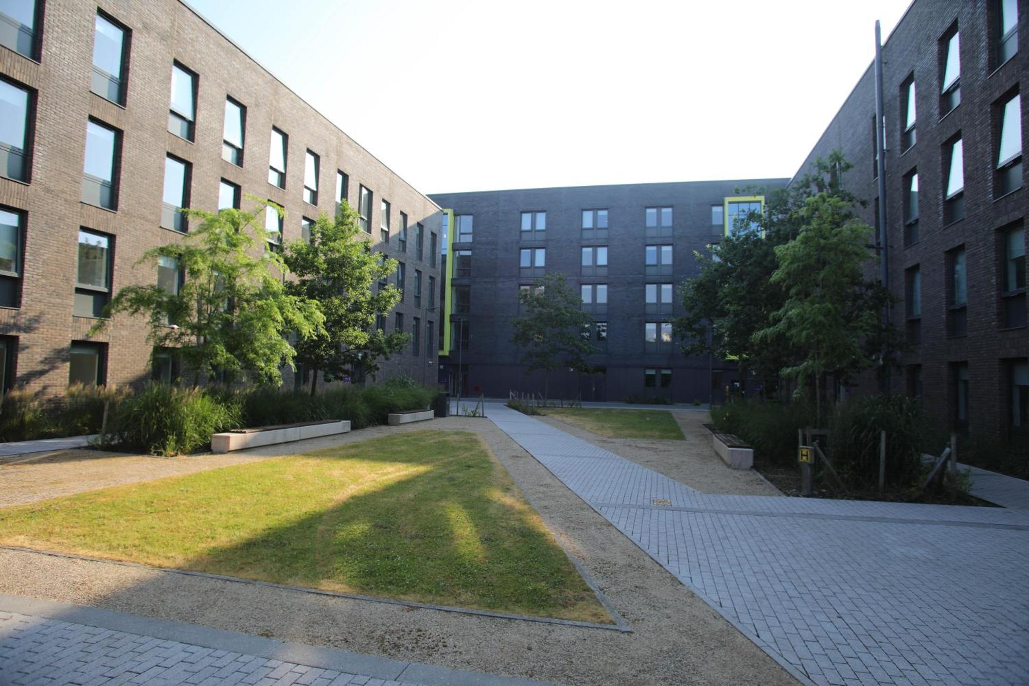 Goldcrest Village Rooms University Of 戈尔韦 外观 照片