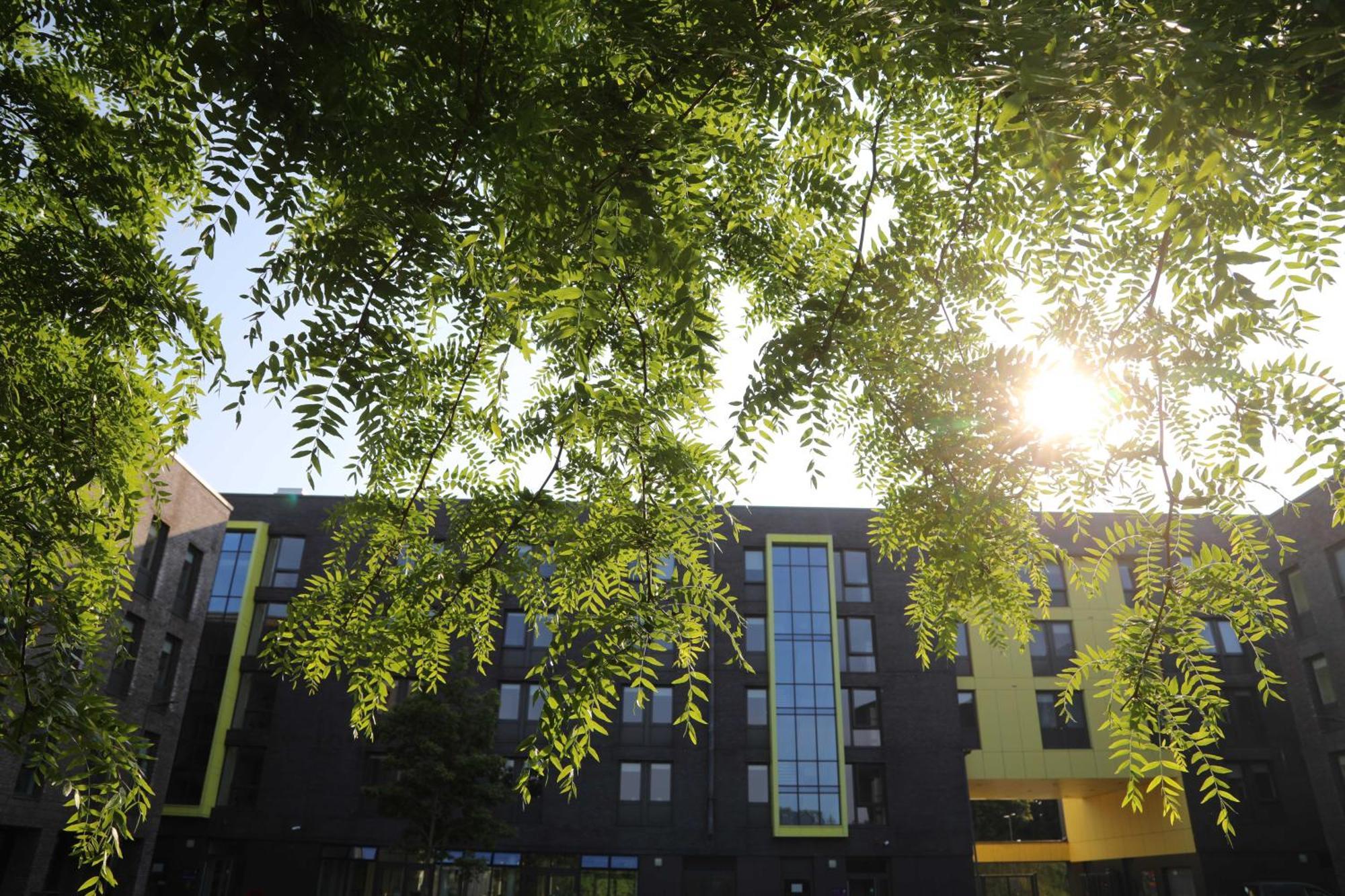 Goldcrest Village Rooms University Of 戈尔韦 外观 照片